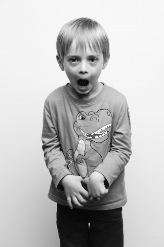 Portrait de Victor (2013)